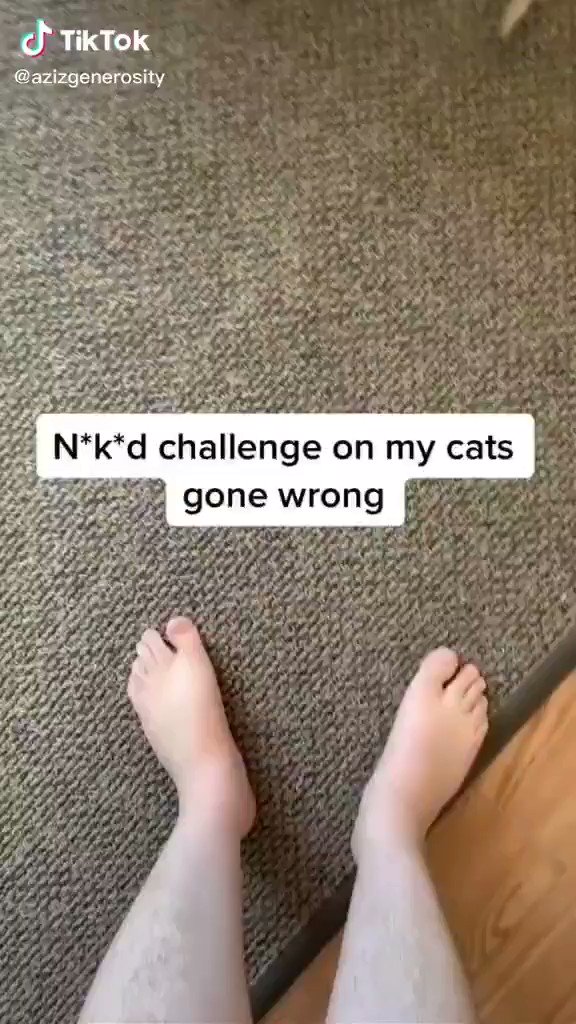 Now only cats will follow me. Now only cats will follow me