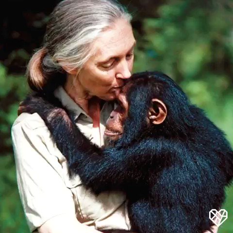 Happy 86th birthday to Jane Goodall, a lifelong friend to animals and advocate for compassion 