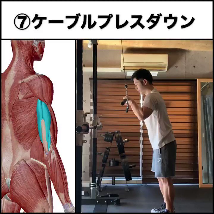せいや アラサー筋トレチャンネル カッコいい腕を作る上腕三頭筋の筋トレ ケーブルプレスダウン 二の腕を全体的に収縮させる事ができ パップアップさせるのに有効な種目です 効果的に行うポイントは 肘の位置は固定 脇は開きすぎない 戻す時は