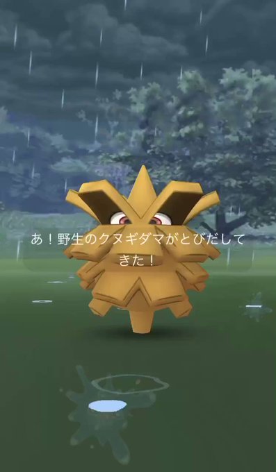 クヌギダマ の評価や評判 感想など みんなの反応を1週間ごとにまとめて紹介 ついラン