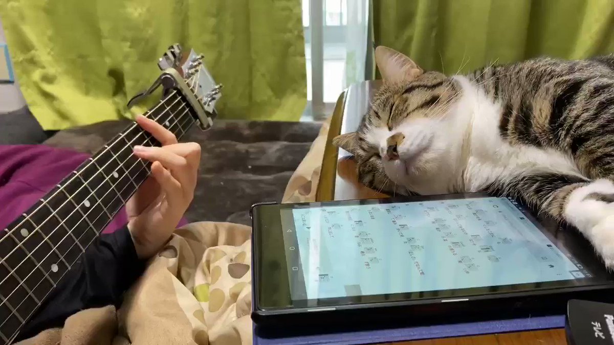 ゆずぽんページ ゆずぽん。 (@yuzupon_DP) / Posts / X