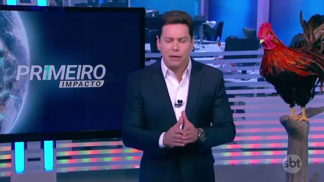 Vídeo incorporado