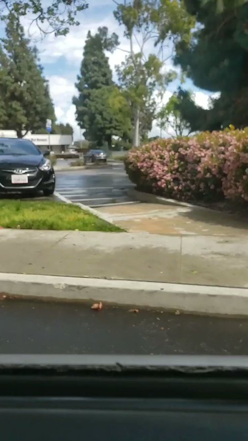 Embedded video