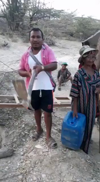 Video insertado