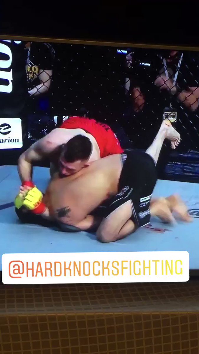 boloisreal (@bigcatsreal) on Twitter photo 09/04/2020 11:07:20 Hard knocks fighting @HKFighting champ champ Hard knocks fighting @HKFighting champ champ