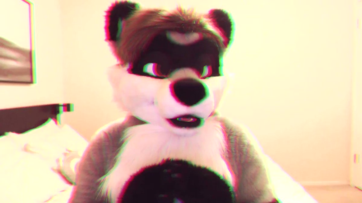 𝙄𝙉𝘿𝙔𝘾𝙊𝙊𝙉𝙀 𝙇𝙄𝙑𝙀 Deep In The 𝑾𝑶𝑹𝑳𝑫 𝑾𝑰𝑫𝑬 𝑾𝑬𝑩 Nobody Suspects That You Re Actually A raccoon Fursuitfriday Fursuit Vhs Rgb Dv ベーパーウェーブ Fursuitsbylacy T Co Dewxsr07nq