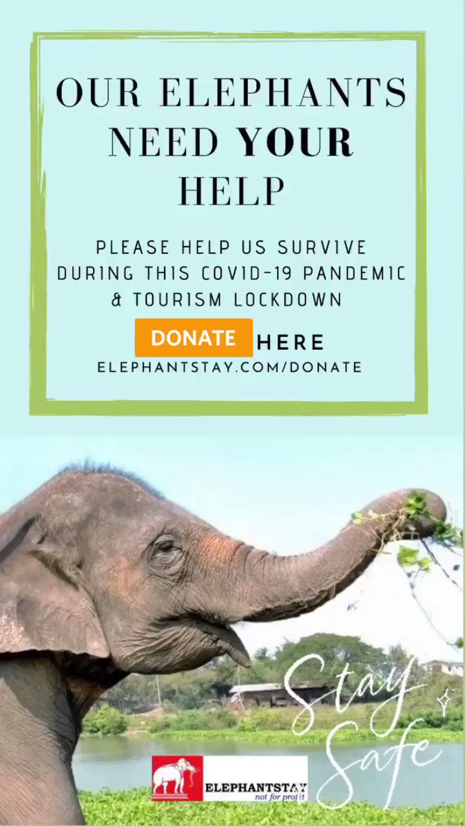 Please donate to help @Elephantstay (Not for profit). Tourism lockdown means no guests, no income. https://t.co/BVGLEuk3Vp