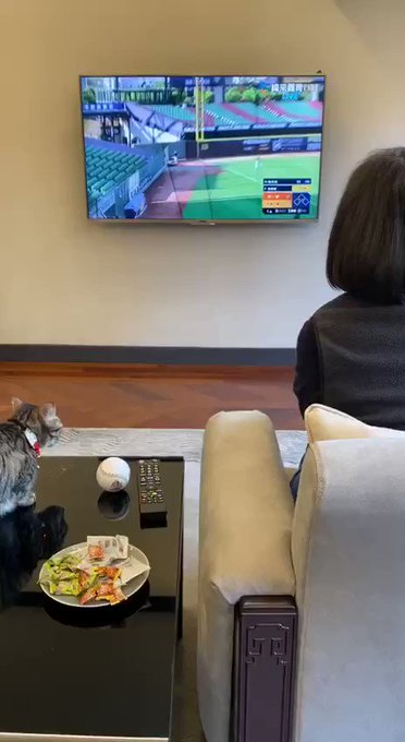 埋め込み動画