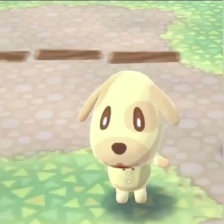 توییتر \ 툥 🌙 در توییتر: «goldie from animal crossing dancing to mad dog /60XRtf5gAO» توییتر \ 툥 🌙 در توییتر: «goldie from animal crossing dancing to mad dog /60XRtf5gAO»
