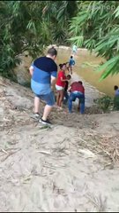 Video insertado