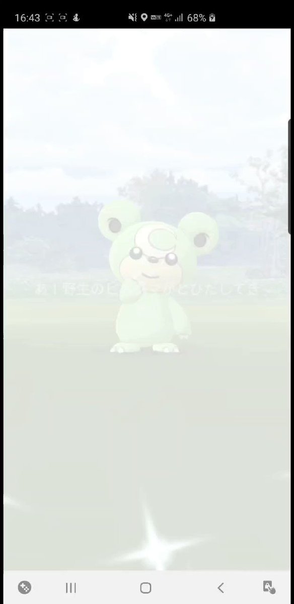 Hwz1999 新緑の候 ポケモンgo ヒメグマ 色違い Shinypokemon Hwz1999 新緑の候 ポケモンgo ヒメグマ 色違い Shinypokemon
