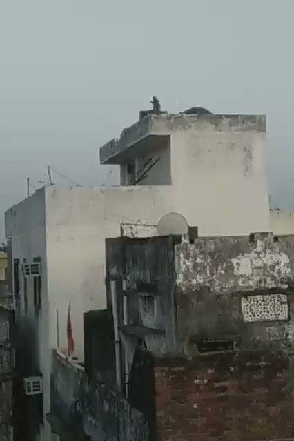 Video terlekat