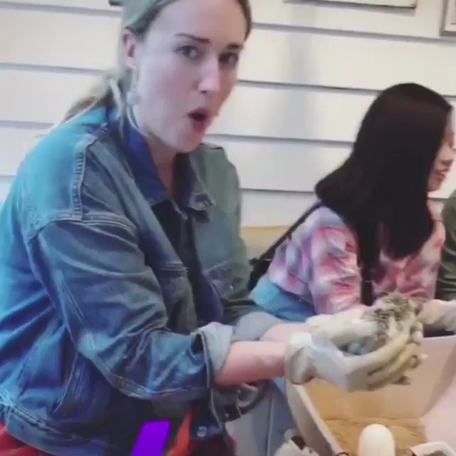 HAPPY BIRTHDAY ASHLEY JOHNSON UR MUSIC SAVED MY LIFE 