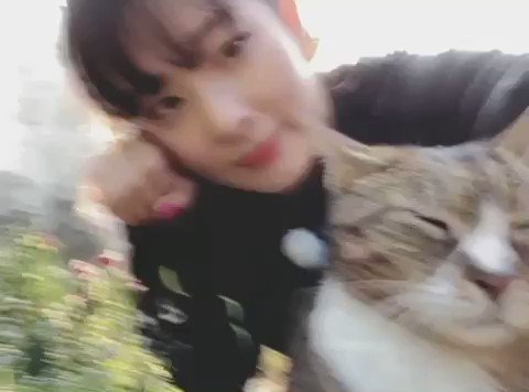 RT @seulgomtokki: here seulgi with amanda, cuz today is international cat day
https://t.co/7VXT5UBOkn