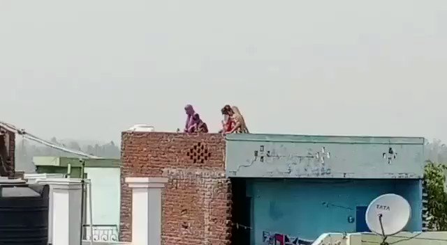 Embedded video