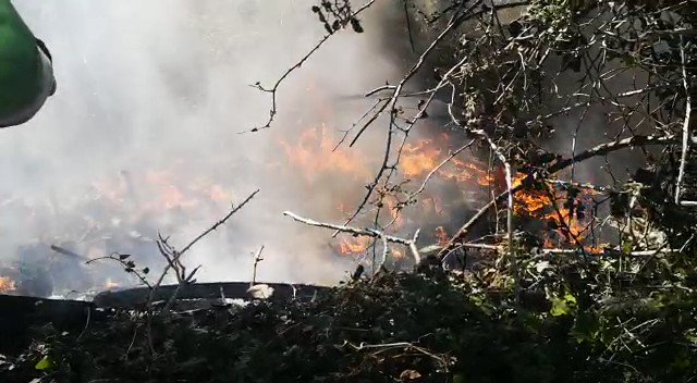 LFRSBosworth photo