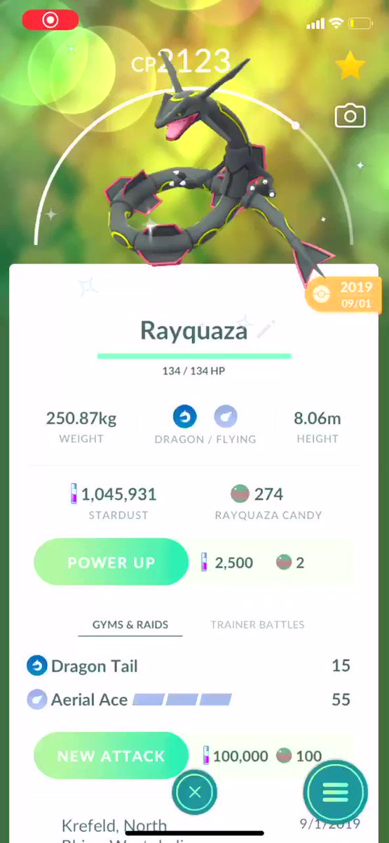Shiny Pikachu with Rayquaza hat live! : r/TheSilphRoad
