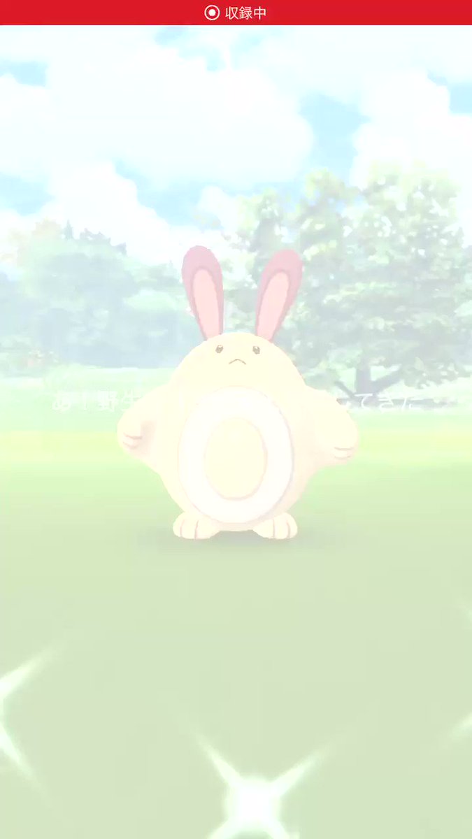 大本命のオタチの色違いget 早く進化させてピンクのオオタチにしたいなぁ ポケモンgo 色違い ツイレポ 大本命のオタチの色違いget 早く進化させてピンクのオオタチにしたいなぁ ポケモンgo 色違い ツイレポ
