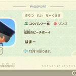 学校が恋しくて「あつまれ!どうぶつの森」で学校を作った!？!？
