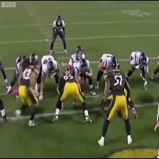 Troy Polamalu was TERRIFYING at the line of scrimmage. 

Happy birthday to the Hall of Famer   
