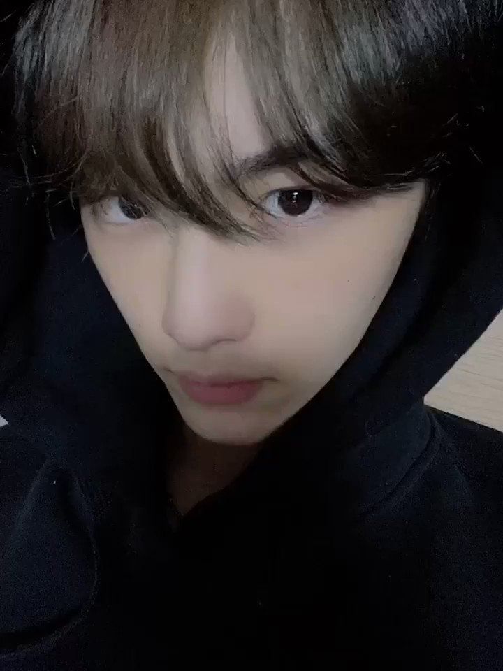 트위터, twitter - 딸플릭스