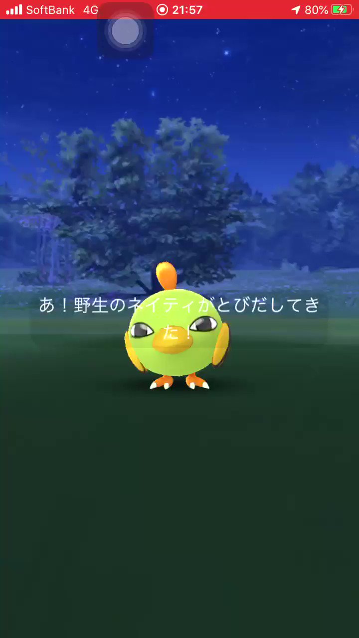 Masa 家近くの公園にネイティが でまだ色違いのネイティオ持って無かったので一気に進化 ポケモンgo Pokemongo 色違いネイティオ Shinyxatu T Co wpzidem8 Twitter