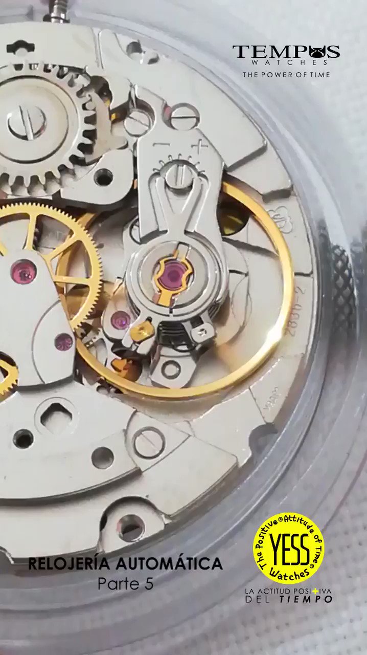 Reloj tempus automatico new arrivals