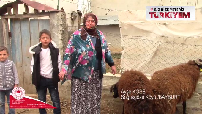 Yerleştirilmiş video