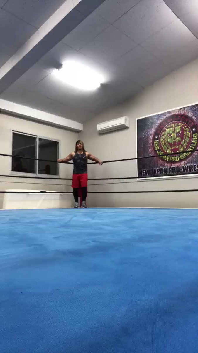 渡辺ひろ乃 ライオンプッシュアップとは異なる凄まじい捻じりプッシュアップ 明日挑戦
