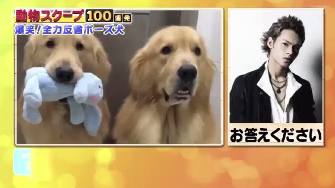 รายการทว 超クソ野郎雑兵key ให แท กแฮช 動物スクープ100連発 1 ว เคราะห ทว ตเตอร กราฟ ก Whotwi รายการทว 超クソ野郎雑兵key ให แท กแฮช 動物スクープ100連発 1 ว เคราะห ทว ตเตอร กราฟ ก Whotwi
