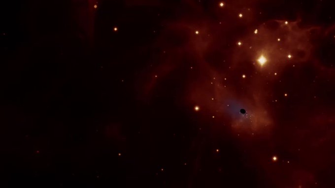 فيديو مُضمّن