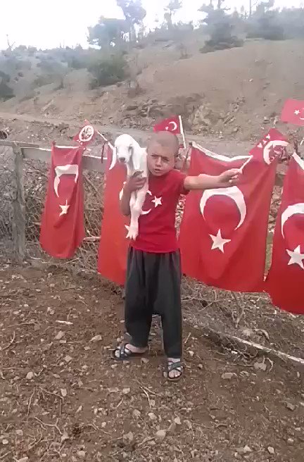 haluk (@halukbilginer_) on Twitter photo 23/04/2020 18:25:08 haluk (@halukbilginer_) on Twitter photo 23/04/2020 18:25:08