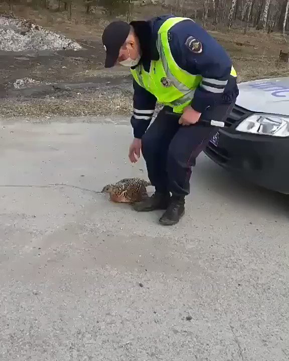 Пост дпс алтуфьевское шоссе. Глухарь начальник дпс. Глухарь пост дпс. Глухарь сериал антошин гибдд. Антошин в дпс на посту.