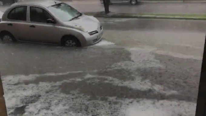 Embedded video