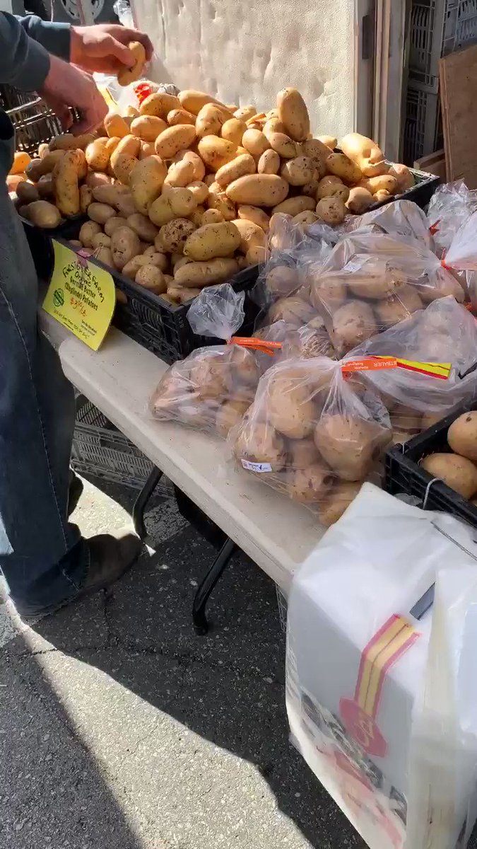 アメリカやカナダなど北米で一般的なじゃがいも ポテト の種類3つと特徴まとめ 野菜ソムリエ Hiro のベジフルポケット
