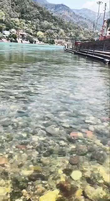 Embedded video