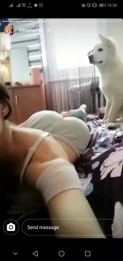 Уграђени видео