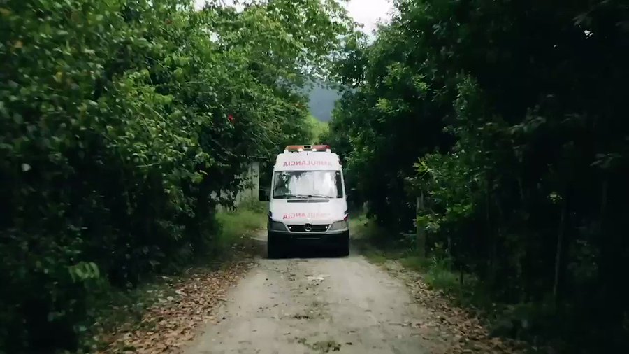 Video insertado