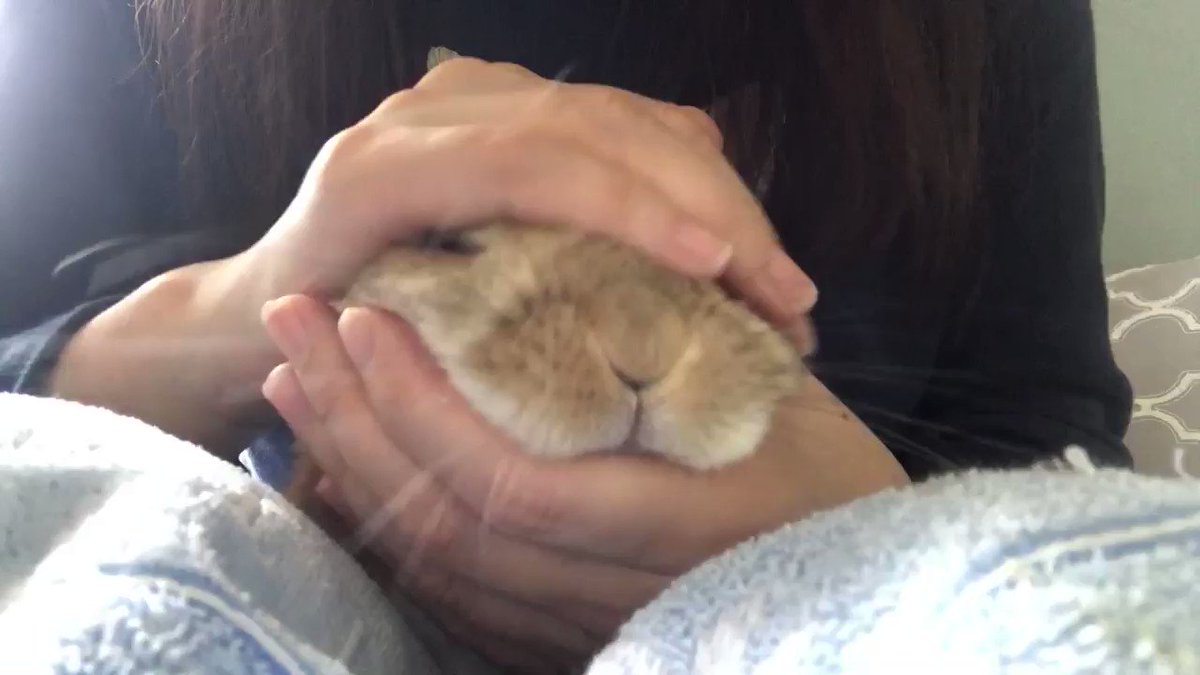 暇だからパン生地をこねている！？こねられているパン生地がとってもかわいい！