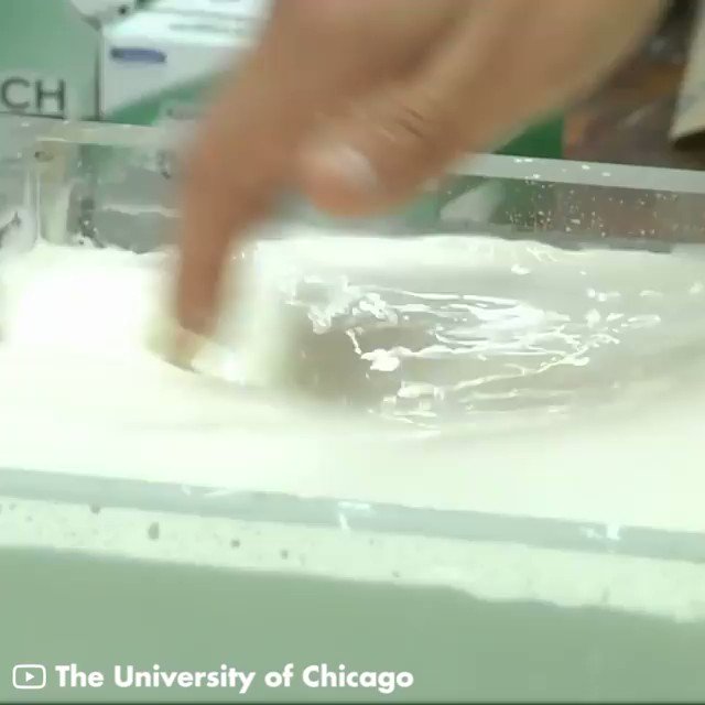 黒ラブ教授 科学コミュニケーター 理系文系どっちも研究する人 ダイラタンシー流体すごーい これわかりやすーい ゆっくり触ると液体だけど 勢いよく触ると個体 T Co Flhpbhk7r9 Twitter