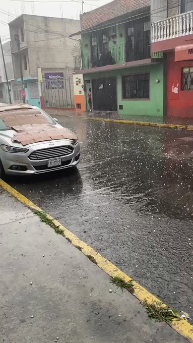Video insertado
