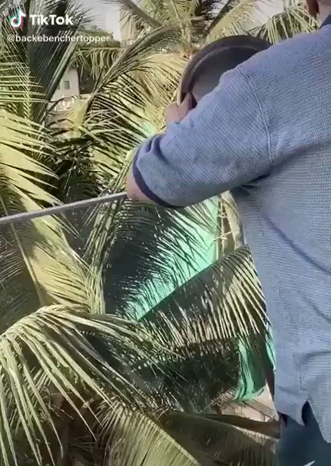 Embedded video