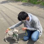 怖いよ～!歩きたくないけど、人間には抱っこされたくない子ヤギの声がすごいw
