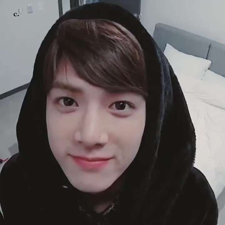 트위터, twitter - 딸플릭스