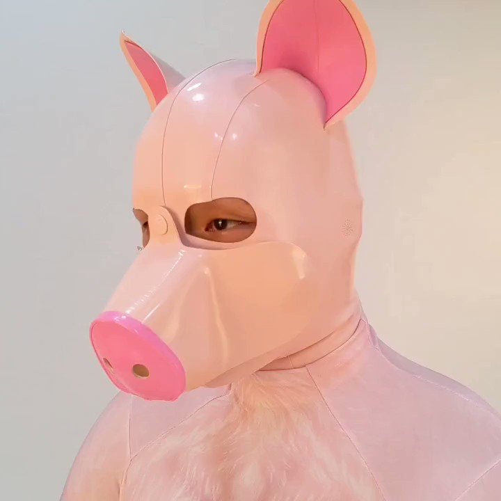 latex pig costume