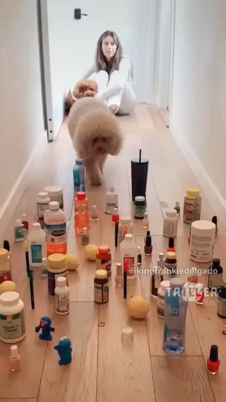 Frankie Delgado (@frankiedelgado) / Twitter