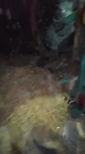 Video insertado