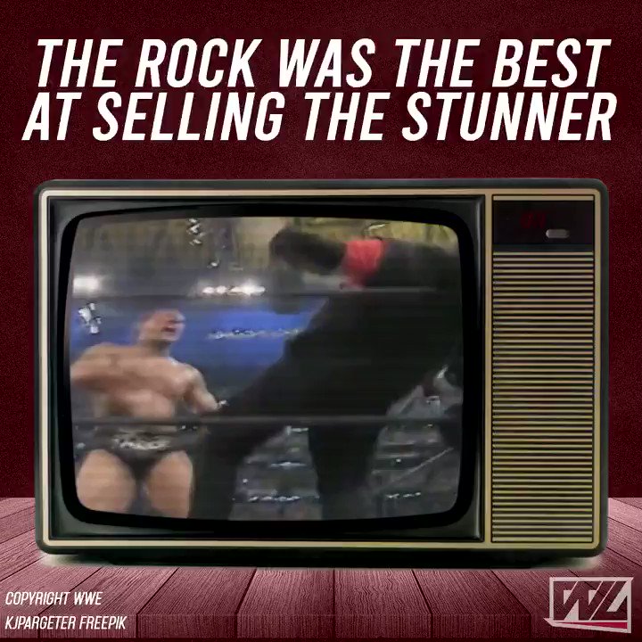 Happy Birthday to the Rock, the only person to always sell the Stunner perfectly! 