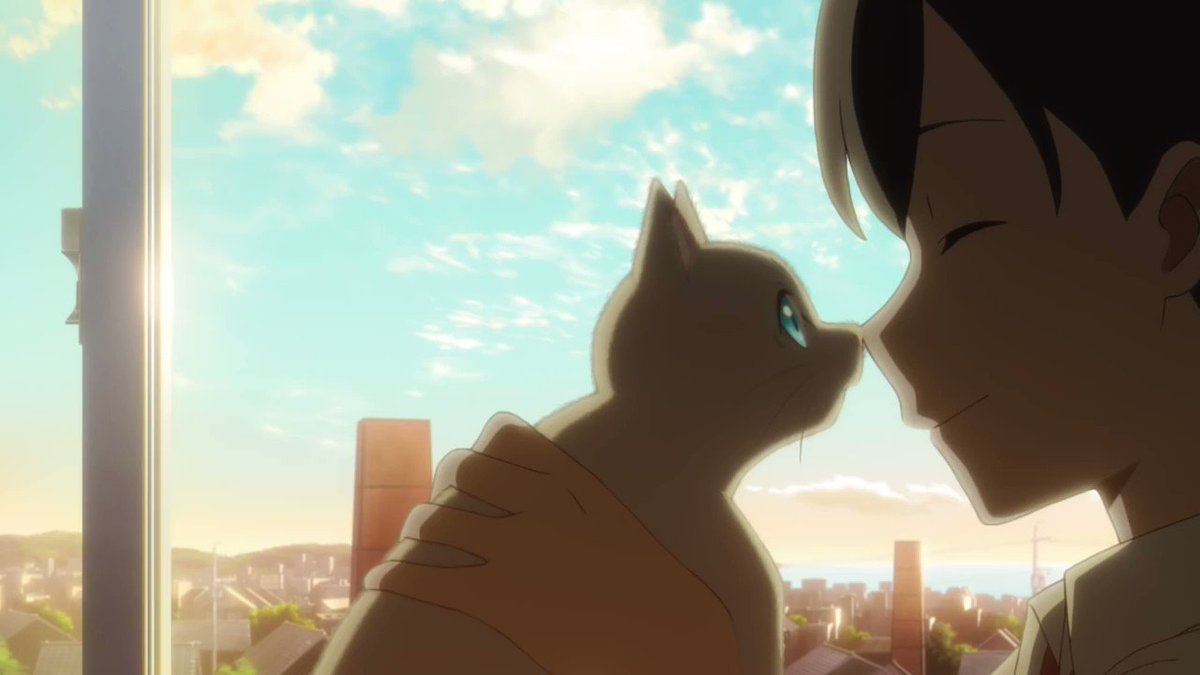 Nakitai Watashi Wa Neko Wo Kaburu Movie Download Nakitai Watashi Wa Neko Wo Kaburu Movie Download