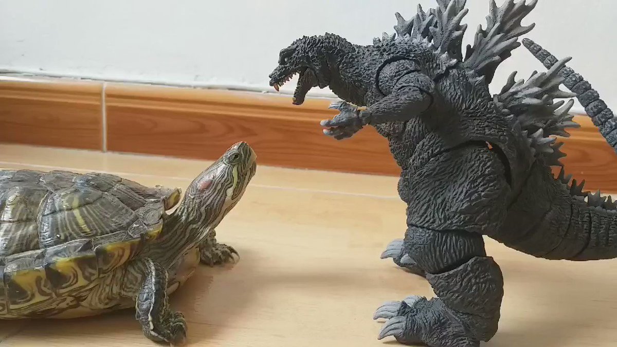Image result for godzilla vs turtle
